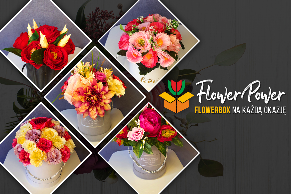 flowerbox dynów